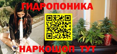 гидра Кимры