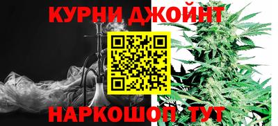 гидра Кимры