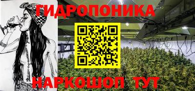 гидра Кимры